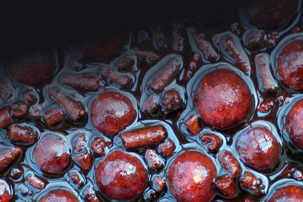 Glugged Baits Boilies
