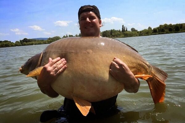 world record carp